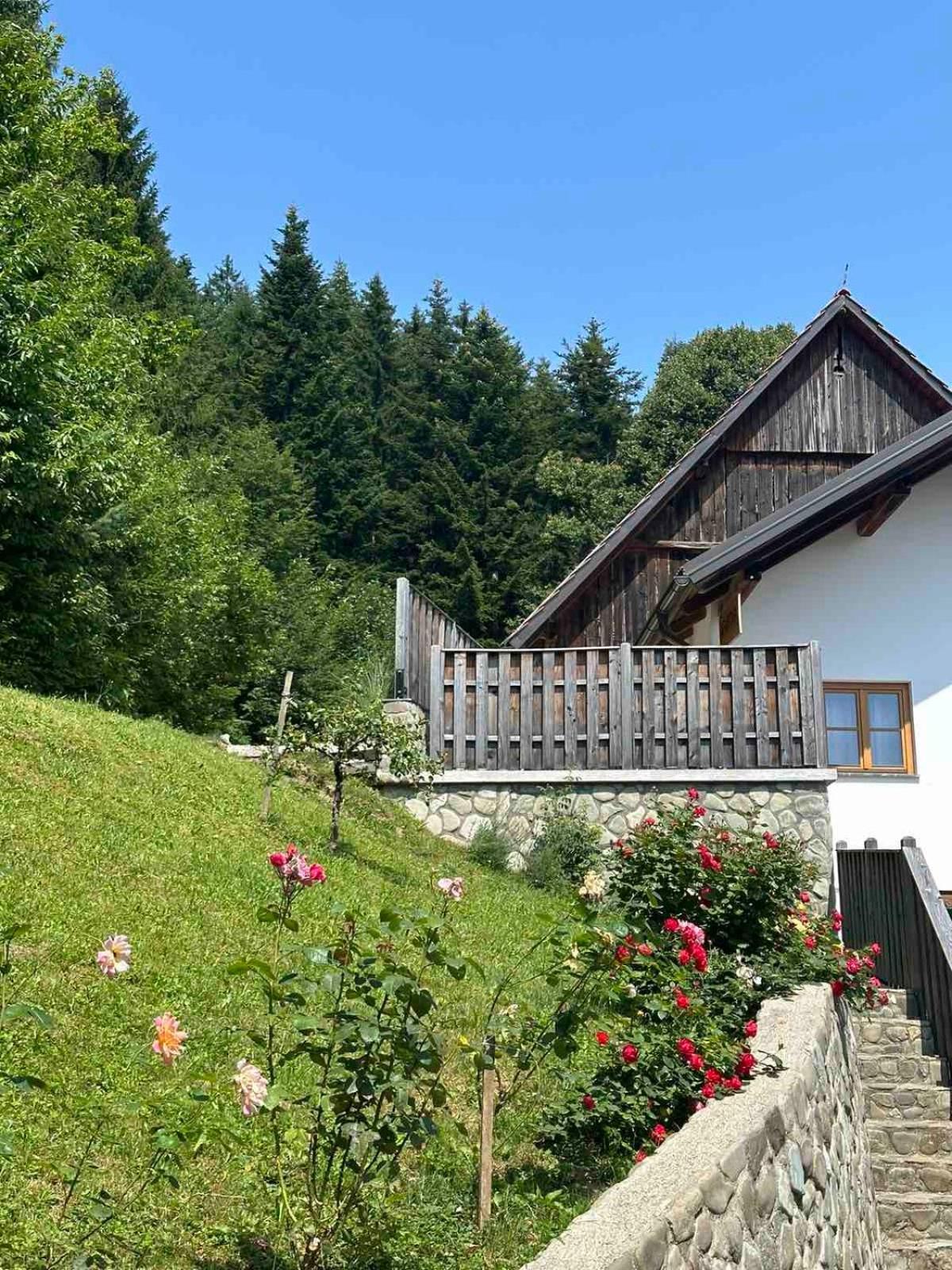 Rose Garden Apartment Ljubno Exterior foto